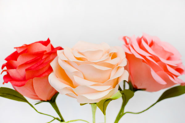Cách làm hoa hồng giấy khổng lồ  món quà bất ngờ ngày valentine