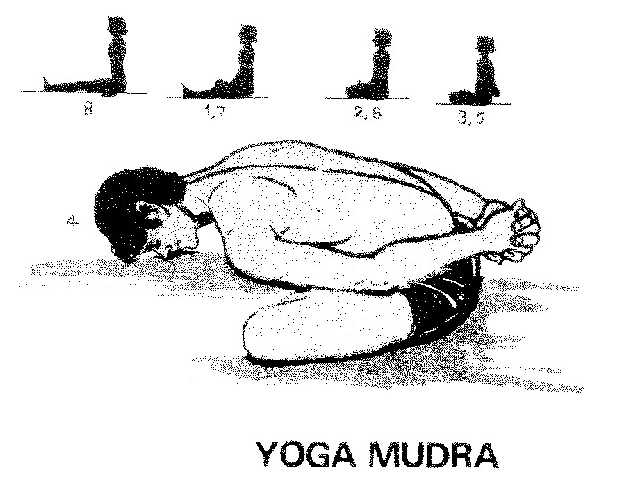 19.dong-tac-yoga-nao-tot-cho-buong-trung-hieu-qua-2-phunutoday.vn