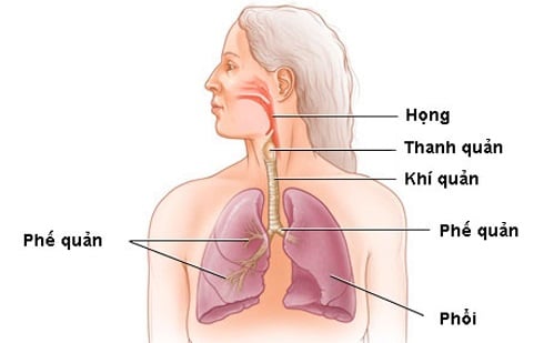 9.nhung-ai-thuong-gap-benh-hep-thanh-quan-phunutoday.vn