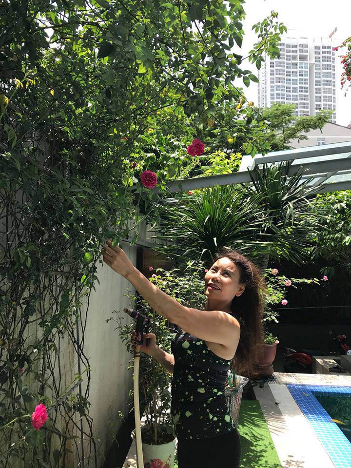 Bà Ngọc Hương chăm sóc cây hoa hồng leo.