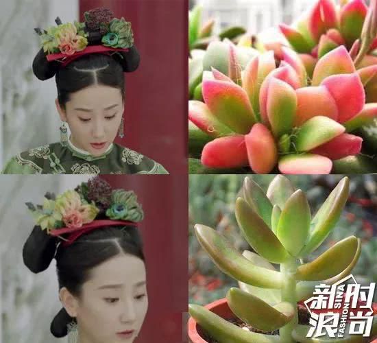 Mục Thời trang của Sina chỉ ra nhiều loại hoa, lá cây được dùng thay trâm cài tóc của nhân vật trong 