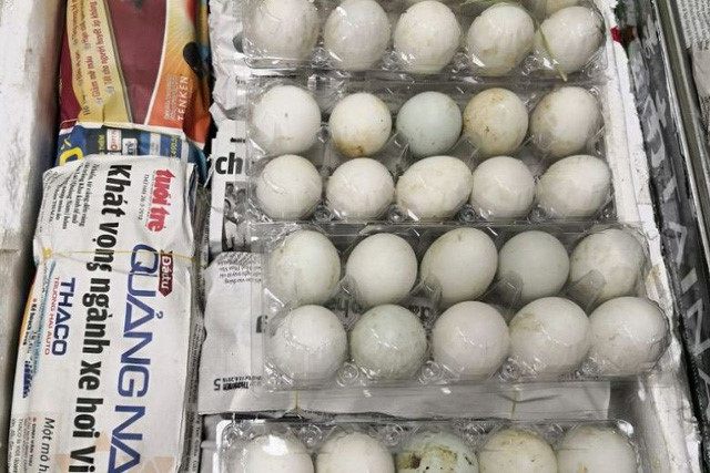  Số trứng vịt lộn bị bắt ở sân bay Singapore.  