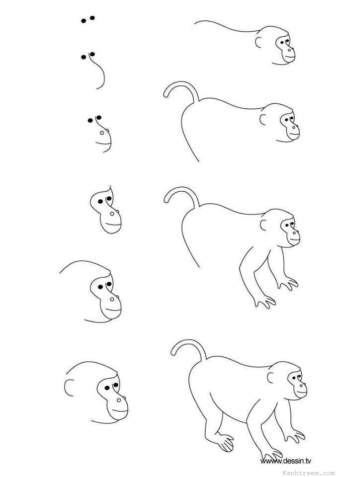 Cách Vẽ Con Khỉ Đơn Giản Nhất