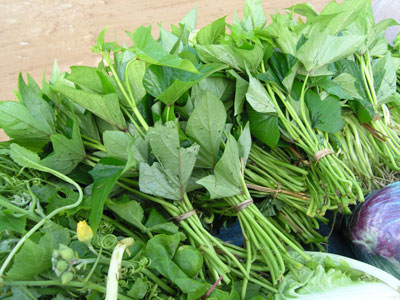 ba-me-nen-an-gi-de-co-nhieu-sua-nhat-cho-con-bu-sau-sinh-cuc-ky-hieu-qua-can-phai-biet-5