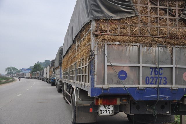 Hàng nghìn xe dưa hấu xếp hàng lay lắt ở cửa khẩu Tân Thanh - Ảnh 2