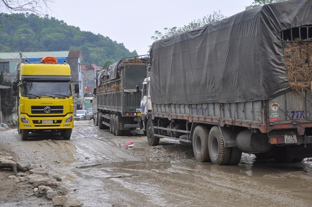 Hàng nghìn xe dưa hấu xếp hàng lay lắt ở cửa khẩu Tân Thanh - Ảnh 3
