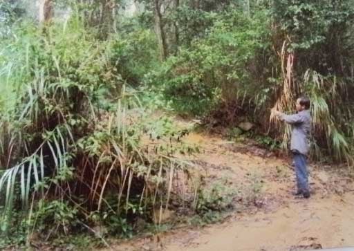 Bắn chết tình địch, vứt xác xuống suối phi tang 