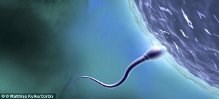 điều trị vô sinh nam giới