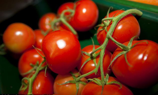 cà chua giúp tăng cường tinh binh