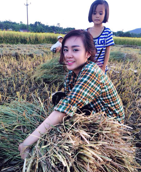 Bà Tưng về quê gặt lúa
