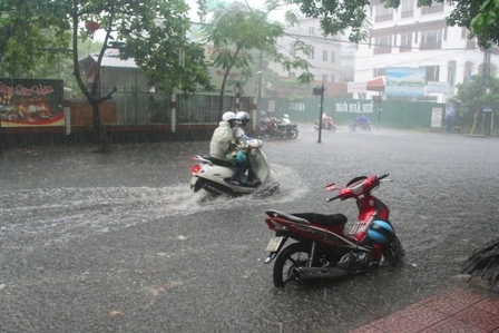 Mô tả ảnh.