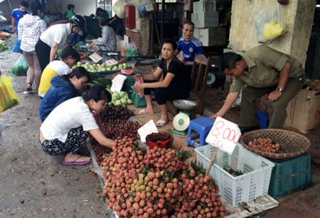 vải mận rẻ như rau