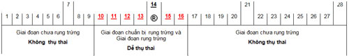quá trình rụng trứng