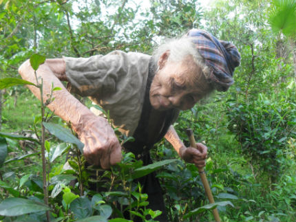 Mô tả ảnh.