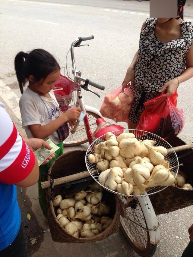 Mô tả ảnh.