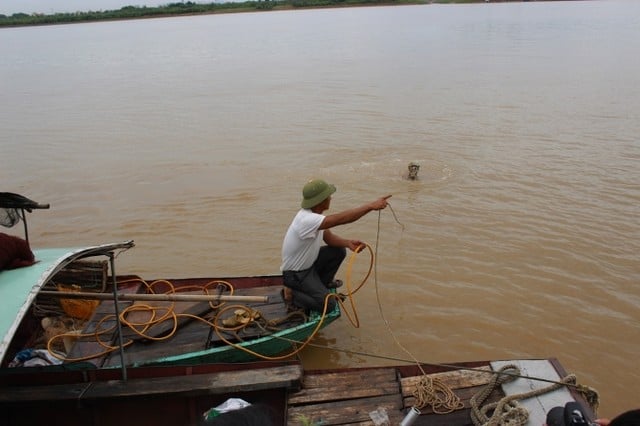 đầu chị huyền