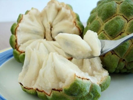 Phụ nữ, làm mẹ, chăm con, nuôi con, gia đình, hoa quả, chăm sóc sức khỏe, làm vợ, làm dâu, món ăn, ẩm thực, quả na, bệnh tim, tim mạch, chữa bệnh, trị bệnh, xương khớp, bệnh xương khớp, não, giảm trí nhớ