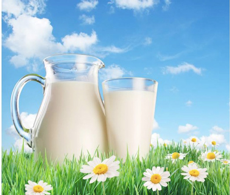 Sữa giúp giảm cân 
