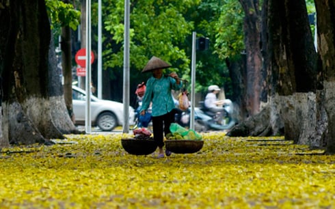 Mô tả ảnh.