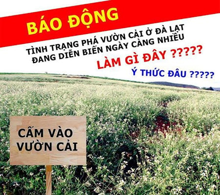 Mô tả ảnh.