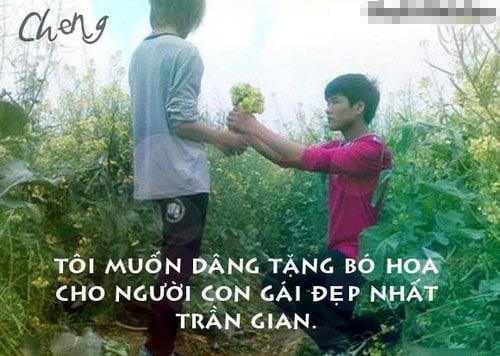 Mô tả ảnh.