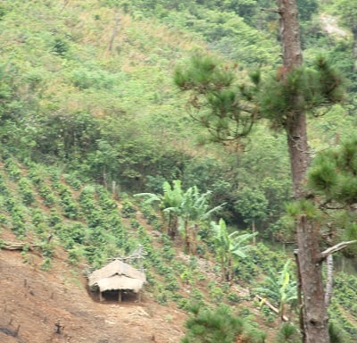 Mô tả ảnh.