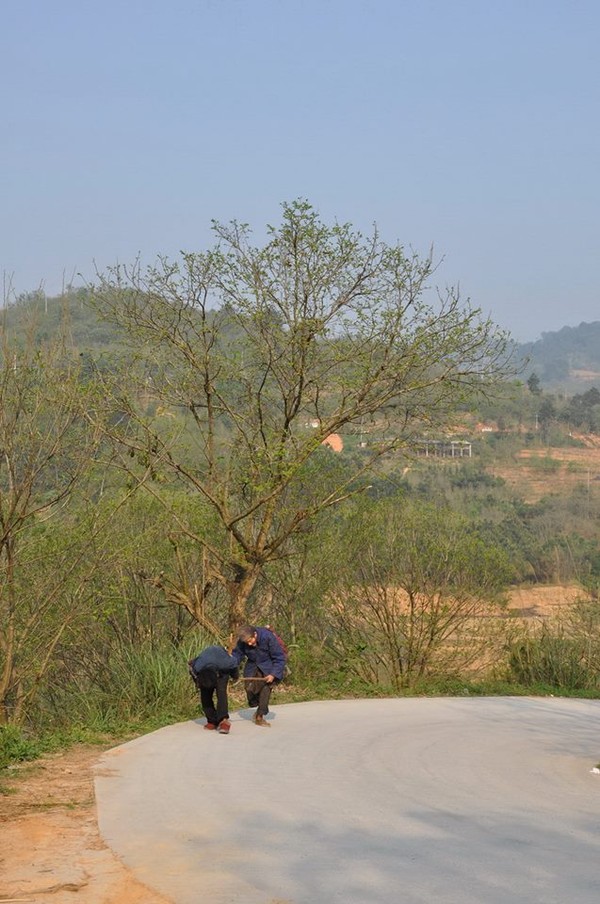 Mô tả ảnh.