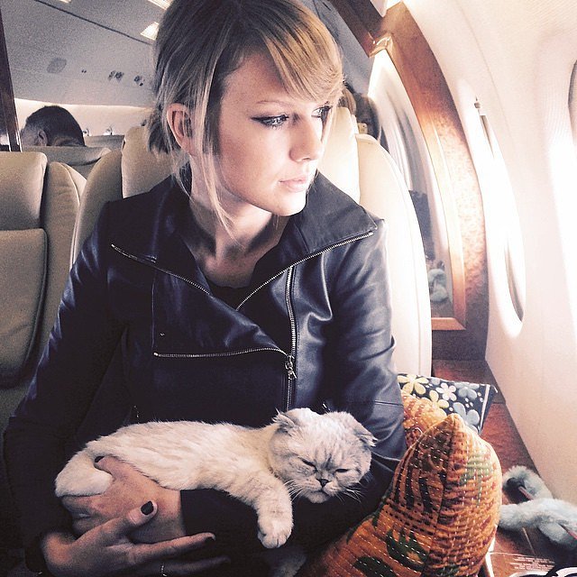 Khoảnh khắc siêu đáng yêu của Taylor Switf và hai chú mèo cưng