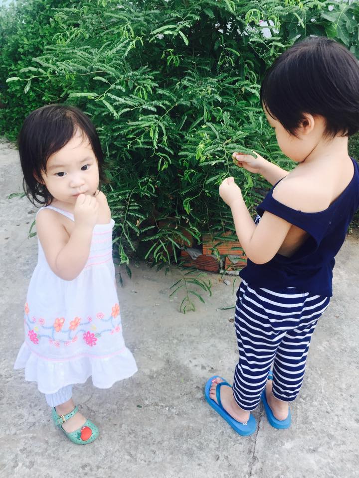 ly hai1