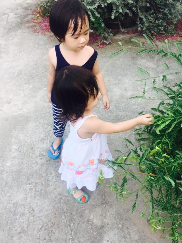 ly hai3