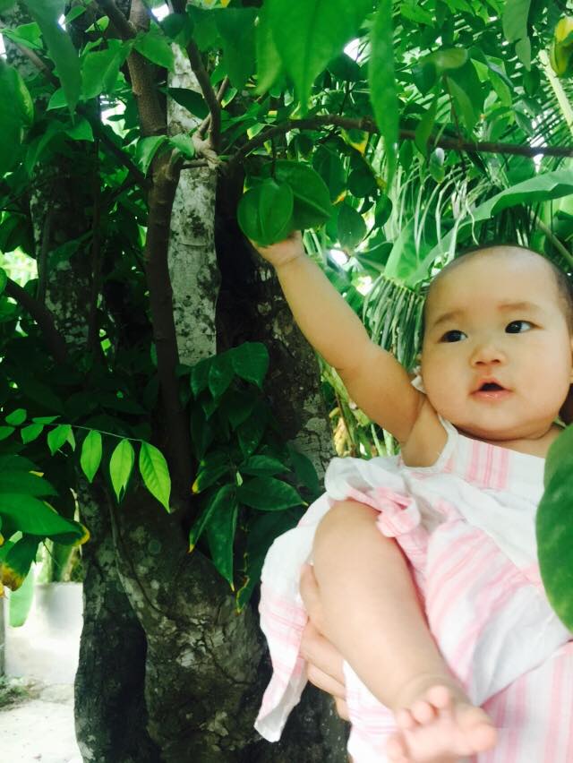 ly hai8