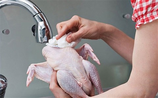 rửa thịt gà có thể gây chết người