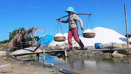 muoi-phunutoday-vn