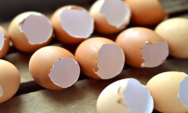 mẹo vặt với trứng