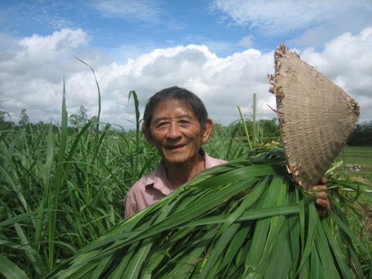 Anh Hùng Hồ giáo qua đời 1