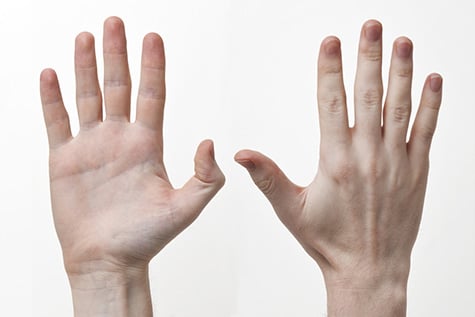 Bàn tay bạn thuộc nguyên tố nào 4