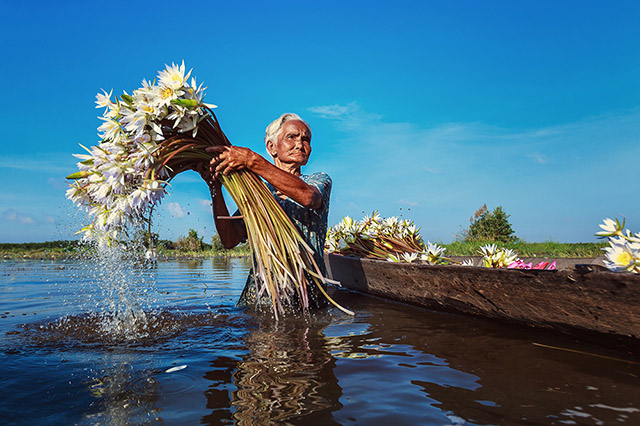 Phép màu của Việt Nam qua 22 bức hình tuyệt đẹp 7