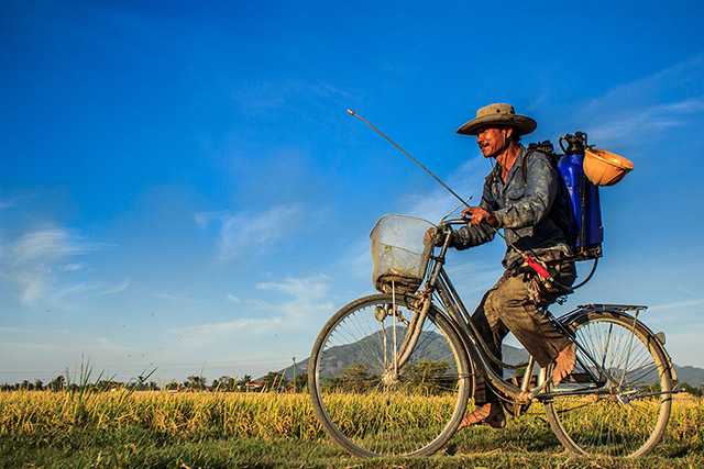 Phép màu của Việt Nam qua 22 bức hình tuyệt đẹp 9