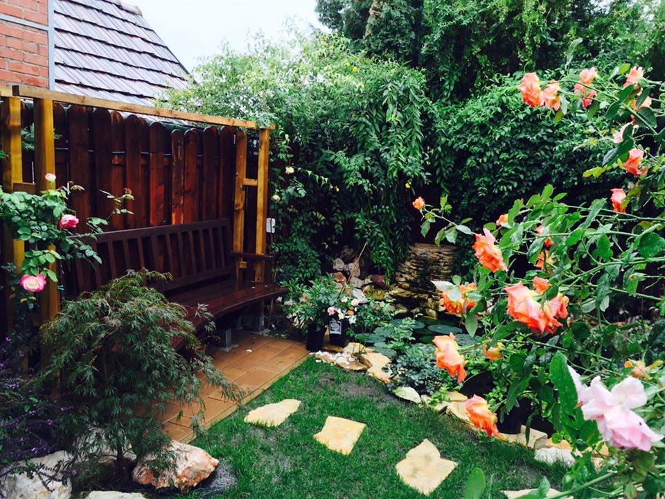 Ngắm vườn hồng nở bung, đẹp như cổ tích của mẹ Việt ở Hungary 5
