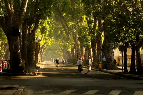 Mô tả ảnh.