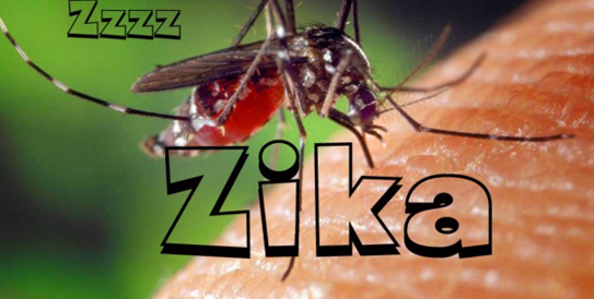 Tổng hợp thông tin về virus Zika ăn não trẻ sơ sinh