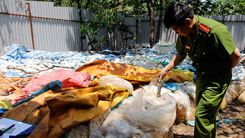 Phát hiện hơn 10 tấn măng ngâm ủ không rõ nguồn gốc ở Đà Lạt