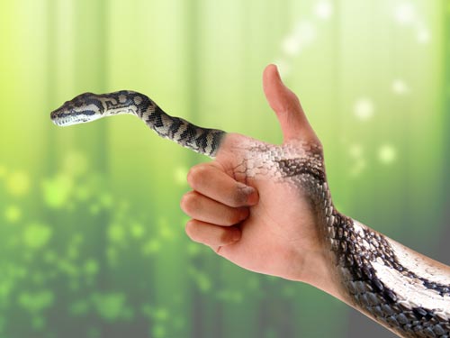 Rắn thường được coi là một biểu tượng của điềm báo. Vậy giấc mơ thấy rắn có thể đem lại những gì cho bạn? Hãy đón xem hình ảnh liên quan để tìm hiểu thêm về các giấc mơ về rắn điềm báo.