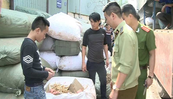 Bắt giữ 6 tấn dược liệu thuốc Bắc nhập lậu từ Trung Quốc