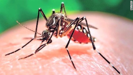 Việt Nam không còn dịch bệnh do virus Zika