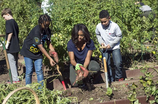 Vườn rau nhà tổng thống Obama có khoai lang, rau dền, cà tím...