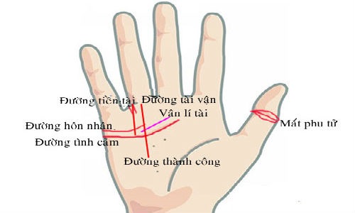 Dấu hiệu bàn tay của quý cô có hôn nhân viên mãn