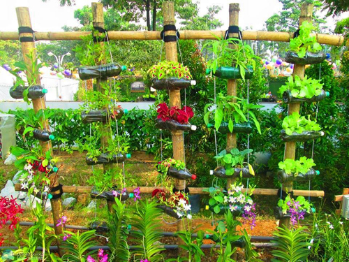 Vườn rau xanh mướt trên sân thượng trồng trong vỏ chai nhựa 