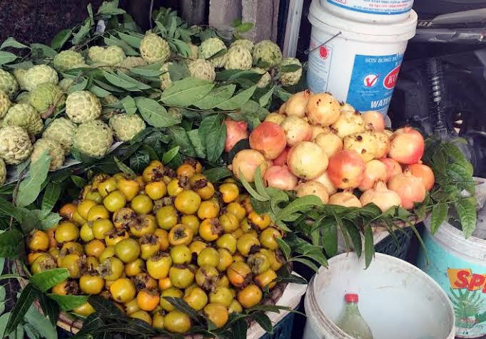 8 loại hoa quả Trung Quốc nhập về Việt Nam NHIỀU NHẤT