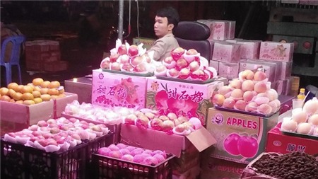 8 loại hoa quả Trung Quốc nhập về Việt Nam NHIỀU NHẤT
